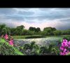 Creation to Christ – South Vietnamese Language Animation