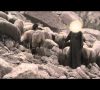 Stories of the Prophets — Video Poem, David (Bedouin Arabic)
