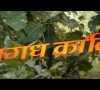 Magadh Revolution Trailer मगध क्रांति – Magadhi Bihari Film – New HD
