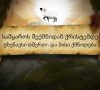 Creation to Christ жаратылыс жәнә Мәсіх – Kazakh Language Animation
