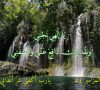 Psalm of David 86 دعاء النبي داود – مزمور – Arabic Language Film