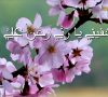 Psalm 56  تفسير دعاء النبي داود وهو يحتمي بالله – Algerian Arabic