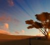 Psalm 113  دعاء التسبيح للنبي داود – Algerian Arabic